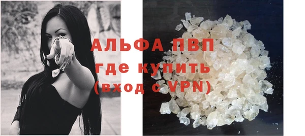индика Волосово