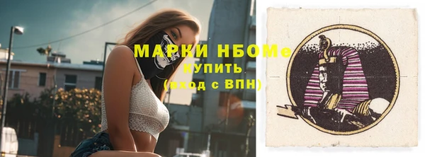 индика Волосово