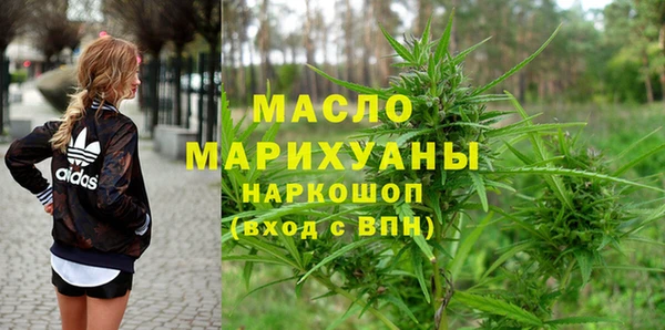 индика Волосово