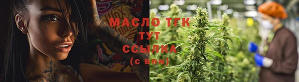 индика Волосово
