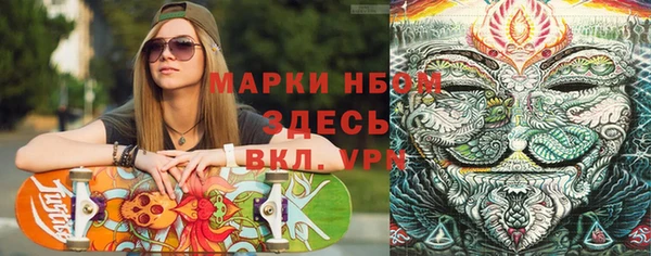 стаф Володарск