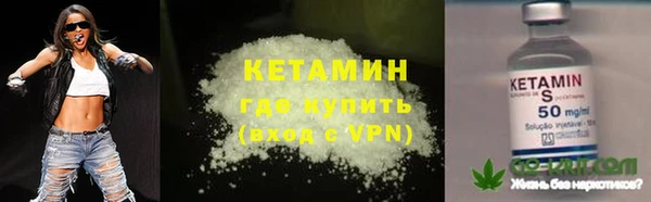 индика Волосово
