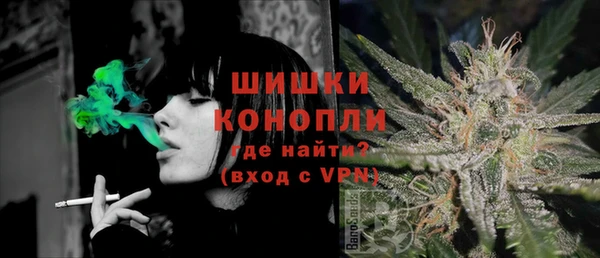 стаф Володарск