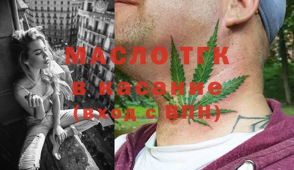 индика Волосово