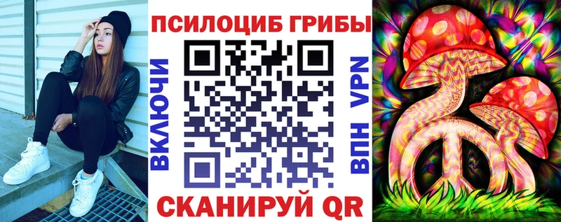 Псилоцибиновые грибы Psilocybine cubensis  Купить  Котово 